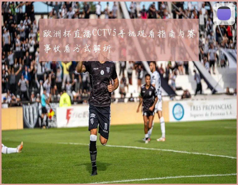 欧洲杯直播CCTV5手机观看指南与赛事收看方式解析