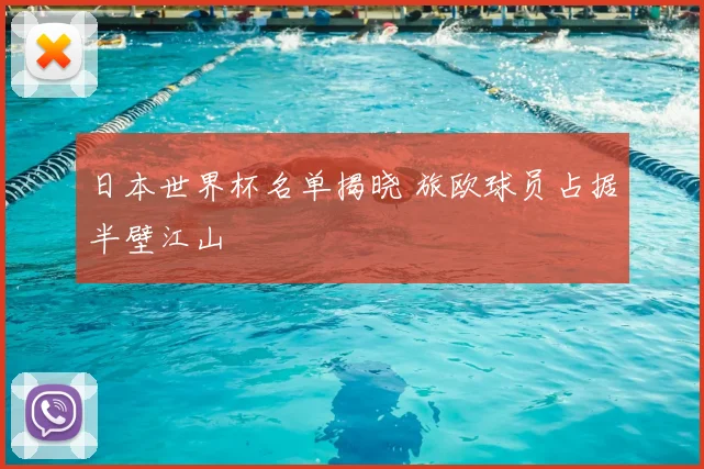 日本世界杯名单揭晓 旅欧球员占据半壁江山