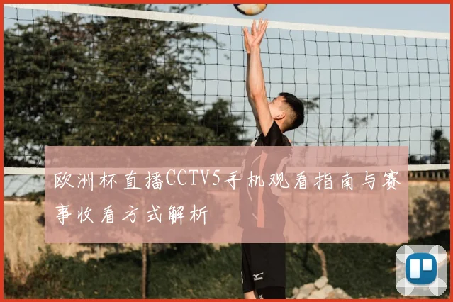 欧洲杯直播CCTV5手机观看指南与赛事收看方式解析