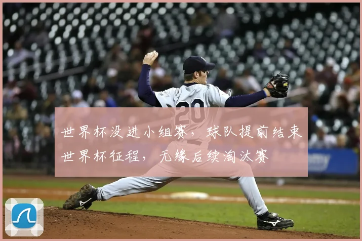 世界杯没进小组赛，球队提前结束世界杯征程，无缘后续淘汰赛