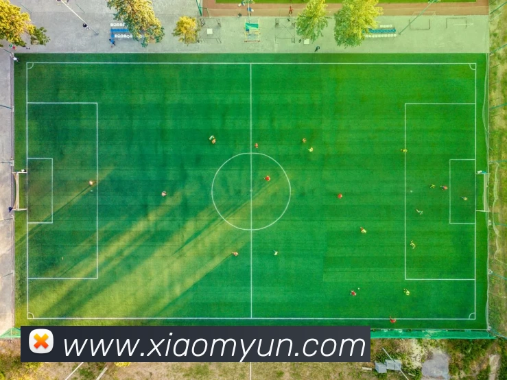 开云(中国)Kaiyun·官方网站 - 登录入口平台生态图