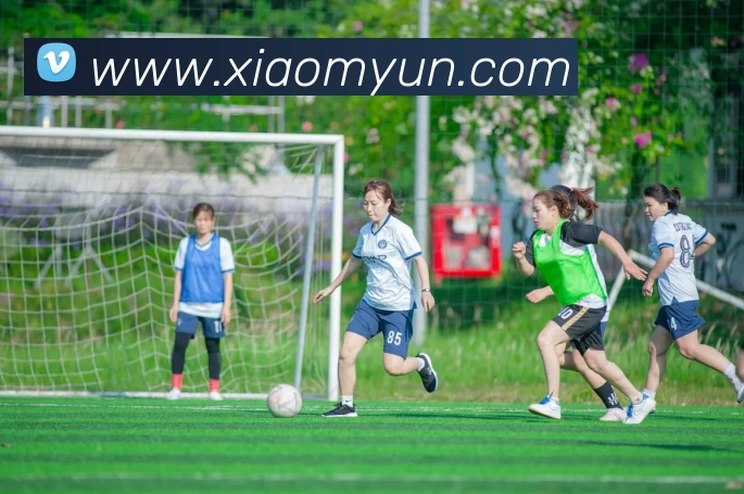 开云(中国)Kaiyun·官方网站 - 登录入口APP 封面图