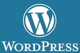 WordPress使用Redis和opcache为网站加速
