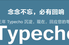 Typecho 添加访问提示代码