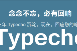 Typecho 付费阅读插件修复版